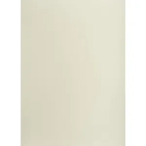 Brystol TOP-2000 A1 jasnoszary 160g 25k 610mm x 860mm (400149522)