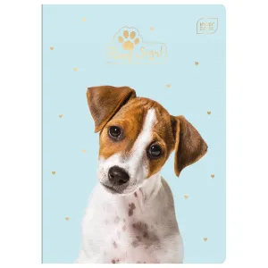 Zeszyt A5 Puppy Sign 16k. 70g krata [mm:] 148x210 Interdruk (ZE16#PS)