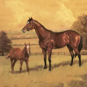 Serwetki mix bibuła [mm:] 330x330 Pol-mak (SL og)