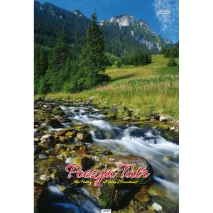 Kalendarz ścienny Avanti wieloplanszowy paskowy 285mm x 420mm (5901769620827)