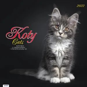 Kalendarz ścienny Avanti wieloplanszowy 300mm x 300mm (KAD-9)