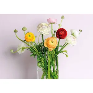 Kalendarz ścienny Avanti wieloplanszowy 285mm x 410mm (5901769621060)