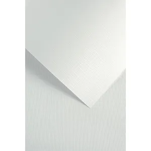 Papier ozdobny (wizytówkowy) A4 holland biały biały 200g Galeria Papieru (200503)
