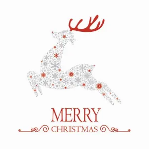 Serwetki Pol-mak gwiazdka - mix 330mm x 330mm (Sd GW)