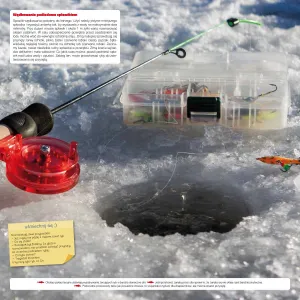 Kalendarz ścienny Avanti wieloplanszowy 300mm x 600mm (5901769620971)