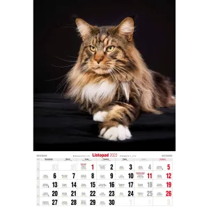 Kalendarz ścienny Avanti wieloplanszowy paskowy 285mm x 410mm (5901769621091)