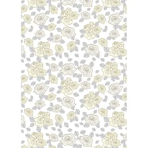 Papier ozdobny Pol-mak - mix 700mm x 1000mm