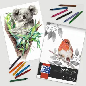 Blok artystyczny RYSUNKOWY PREMIUM A4 200g 25k Oxford (400166121)