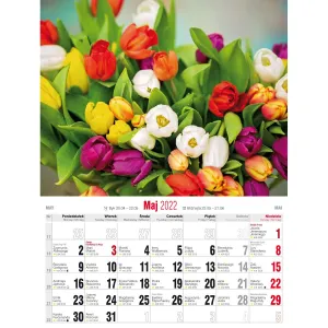 Kalendarz ścienny Avanti wieloplanszowy 230mm x 320mm (5901769620056)