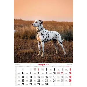 Kalendarz ścienny Avanti wieloplanszowy paskowy 285mm x 410mm (5901769621107)