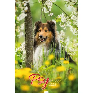 Kalendarz ścienny Avanti wieloplanszowy paskowy 285mm x 410mm (5901769621107)