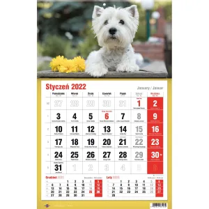 Kalendarz ścienny Avanti trójdzielne (5901769620582)