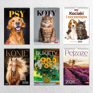 Kalendarz ścienny 16  stron wieloplanszowy A3 Press (KOTY)