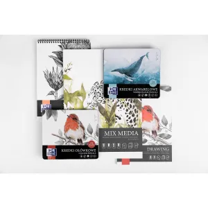 Kredki akwarelowe metal box 24 kol. Oxford (400174561)