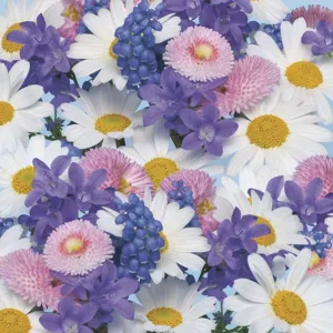 Serwetki wiosna - mix 330mm x 330mm