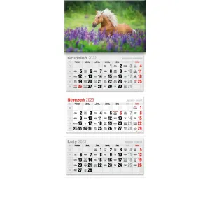 Kalendarz ścienny Avanti trójdzielne (5901769620568)