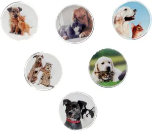 Magnes PIES I KOT okrągły mix śr. 30mm Fun&Joy 6 sztuk