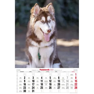 Kalendarz ścienny Avanti wieloplanszowy paskowy 285mm x 410mm (5901769621107)