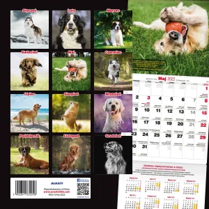 Kalendarz ścienny Avanti wieloplanszowy 300mm x 600mm (KAD-10)