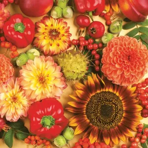 Serwetki mix bibuła [mm:] 330x330 Pol-mak (SL og)