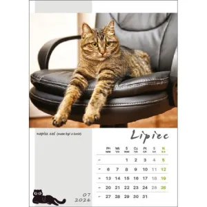 Kalendarz ścienny KOT W BIURZE WIELOPLANSZOWY A3 Jotan (WP136)