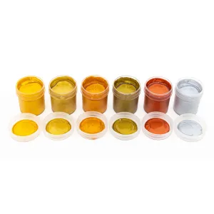 Farby plakatowe dekoracyjne o połysku metalicznycm kolor: mix 20ml 6 kolor. Astra (301124003)