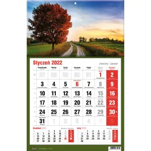 Kalendarz ścienny Avanti trójdzielne (5901769620582)