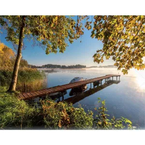 Kalendarz ścienny LASY POLSKIE 13-planszowe 2024 320mm x 470mm Lucrum (RW04)