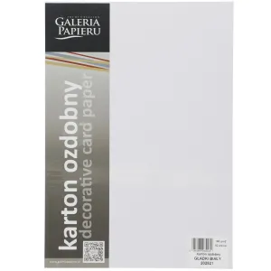 Papier ozdobny (wizytówkowy) A4 gładki biały biały 160g Galeria Papieru (202821)