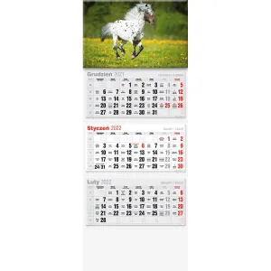 Kalendarz ścienny Avanti trójdzielne (5901769620568)