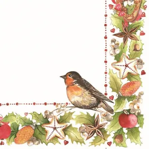 Serwetki Pol-mak gwiazdka - mix 330mm x 330mm (Sd GW)