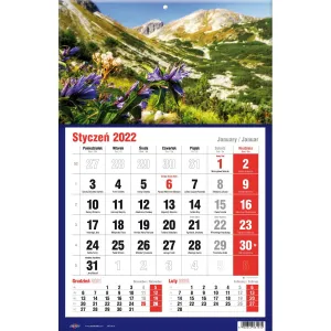 Kalendarz ścienny Avanti trójdzielne (5901769620582)