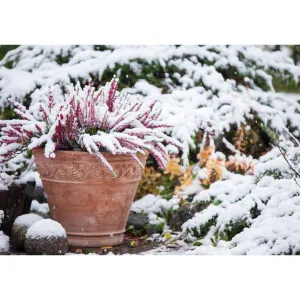 Kalendarz ścienny Avanti wieloplanszowy 285mm x 410mm (KA-11)