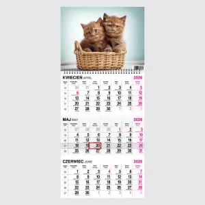 Kalendarz ścienny KOT 310mm x 790mm Press
