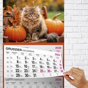 Kalendarz ścienny KOT 310mm x 790mm Press