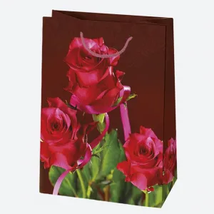 Torba prezentowa Pol-mak 230mm x 320mm x 110mm (T5)