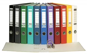 Segregator dźwigniowy Bantex A4 biały 50mm (100551799)