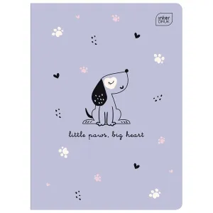 Zeszyt PICCOLO A5 16k. 70g linia kolor Interdruk