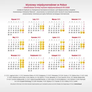 Kalendarz ścienny Avanti wieloplanszowy 300mm x 600mm (KAD-10)