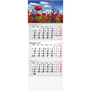 Kalendarz ścienny Avanti trójdzielne (5901769620568)