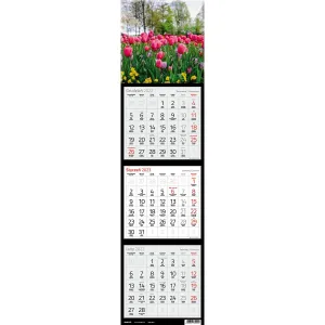 Kalendarz ścienny Avanti trójdzielny 200mm x 200mm (5901769620995)