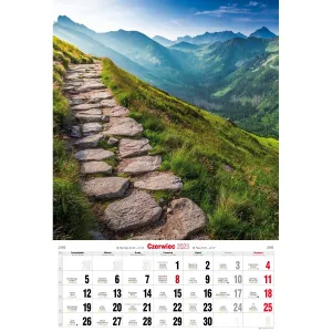 Kalendarz ścienny Avanti wieloplanszowy paskowy 285mm x 420mm (5901769620827)