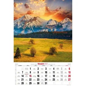 Kalendarz ścienny Avanti wieloplanszowy paskowy 285mm x 420mm (5901769620827)