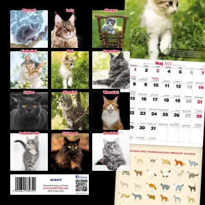 Kalendarz ścienny Avanti wieloplanszowy 300mm x 300mm (KAD-9)