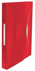 Teczka z przegródkami Esselte Vivida A4 kolor: czerwony 6 przegródek 330 x 260 (624016)