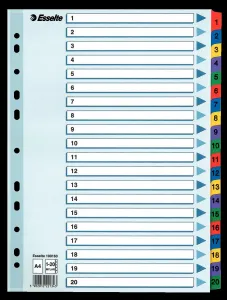 Przekładka numeryczna Esselte Mylar kartonowa A4 mix kolorów 160g 20k 1-20 (100163)