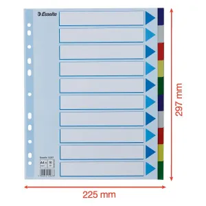 Przekładka czysta maxi A4 mix kolorów 10k [mm:] 225x297 Esselte (15267)