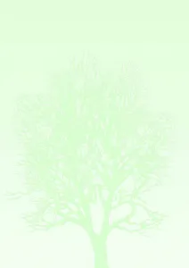 Papier ozdobny (wizytówkowy) Galeria Papieru A4 100g (230410)