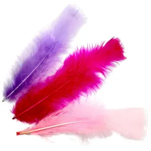 Piórka Craft-Fun Series mix Titanum (16079G)