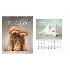 Kalendarz ścienny WIELOPLANSZOWY 355mm x 400mm Interdruk (PSY)